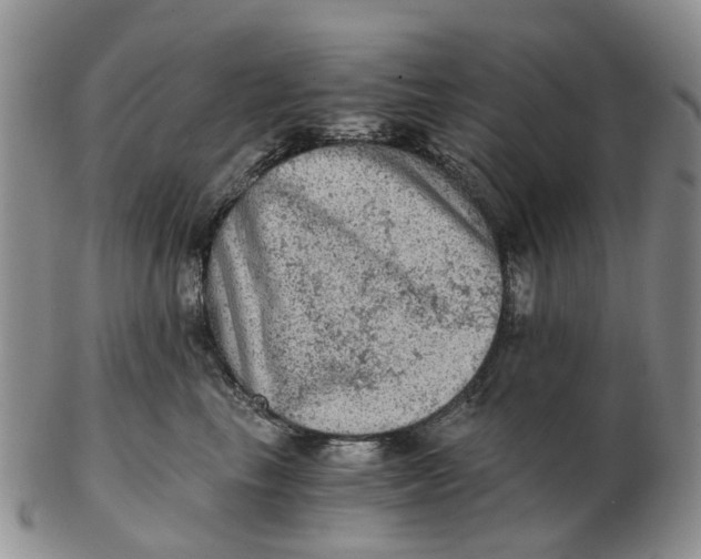 X0000103160665200809121839