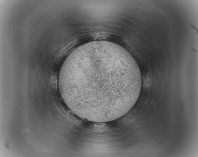 X0000103160666200809121839