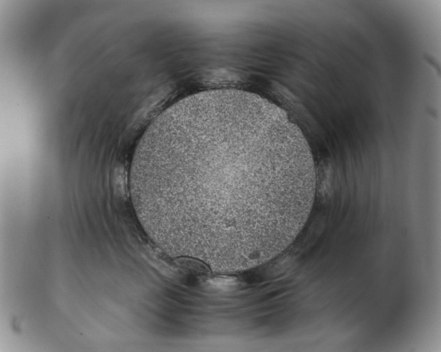 X0000103160669200809121839