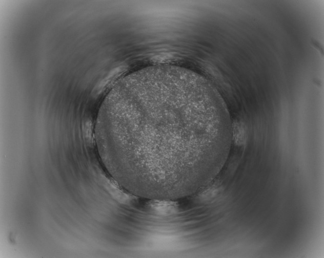 X0000103160670200809121839