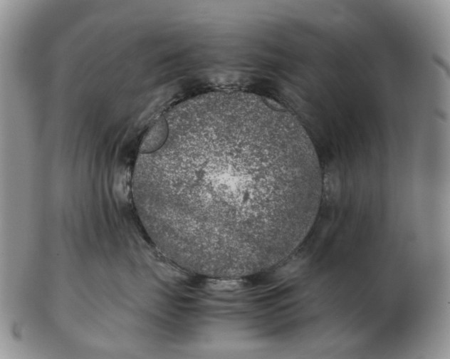 X0000103160671200809121839