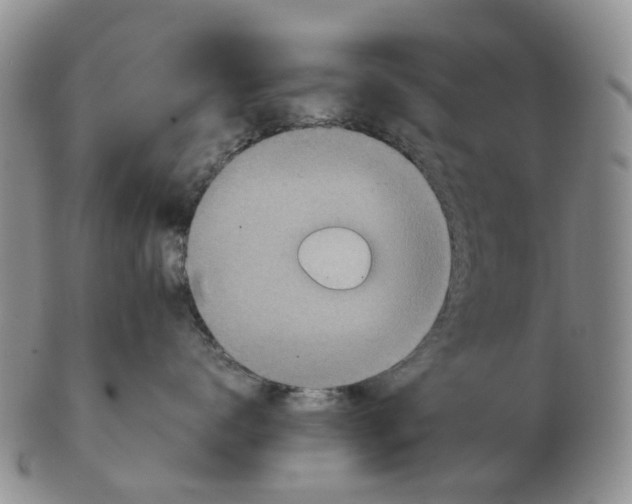 X0000103160672200809121839