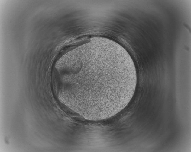 X0000103160673200809121838