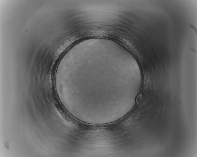 X0000103160674200809121838