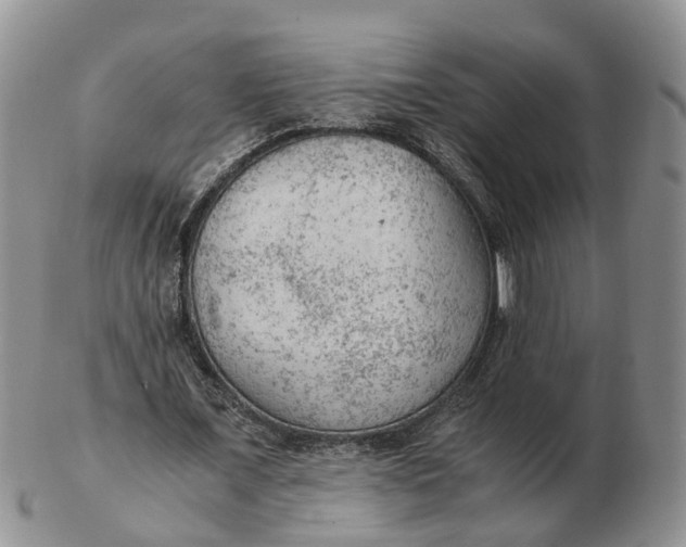 X0000103160675200809121838