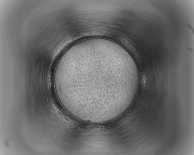 X0000103160676200809121838