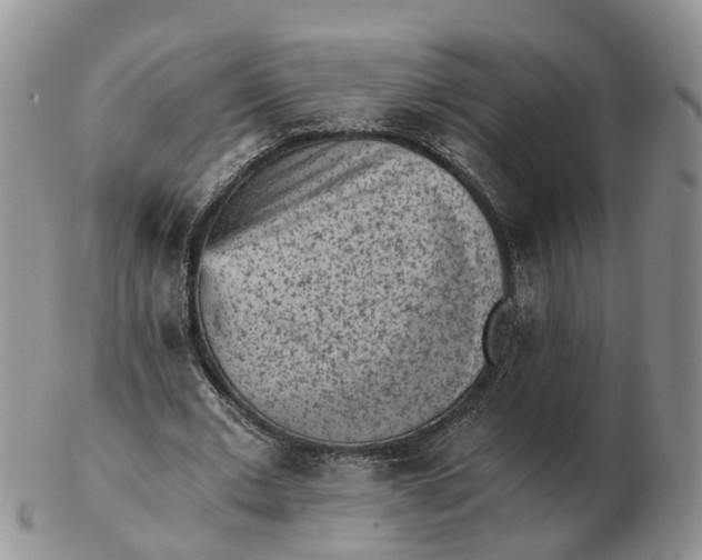 X0000103160677200809121838