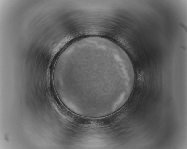 X0000103160678200809121838