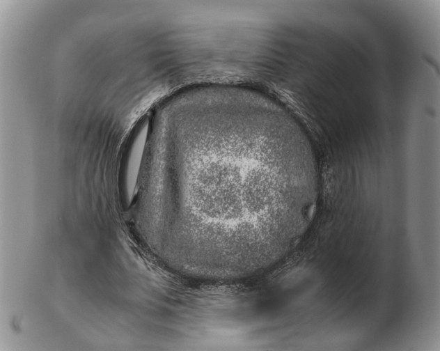 X0000103160679200809121838