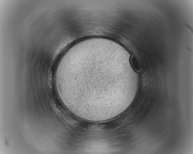 X0000103160680200809121838