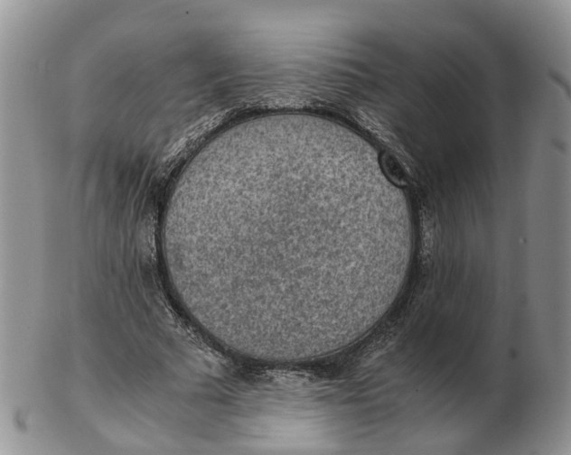 X0000103160681200809121838