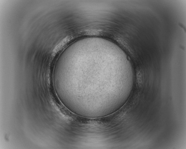 X0000103160682200809121838