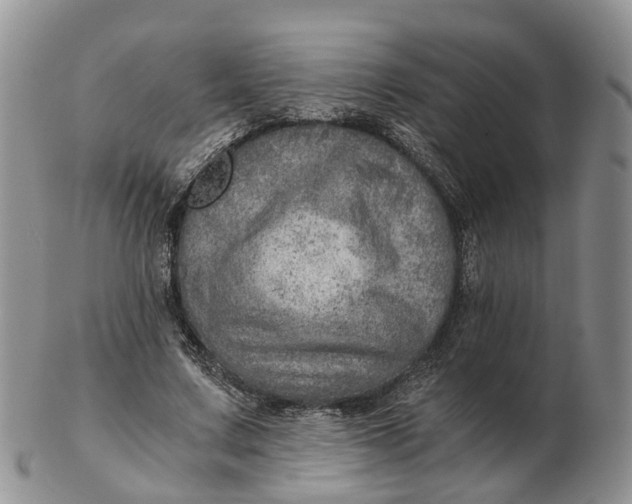 X0000103160683200809121838