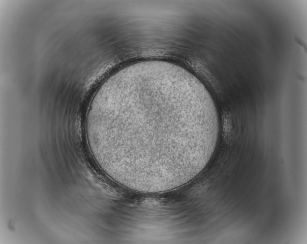 X0000103160684200809121838