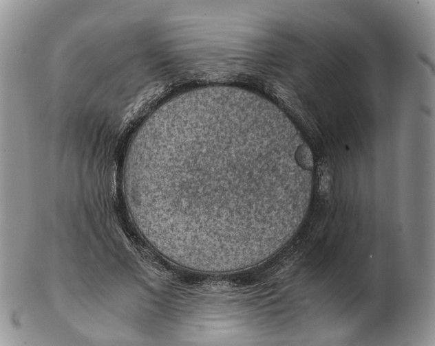 X0000103160685200809121838