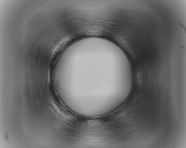 X0000103160686200809121838