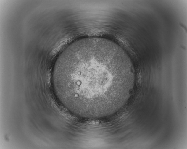 X0000103160687200809121838