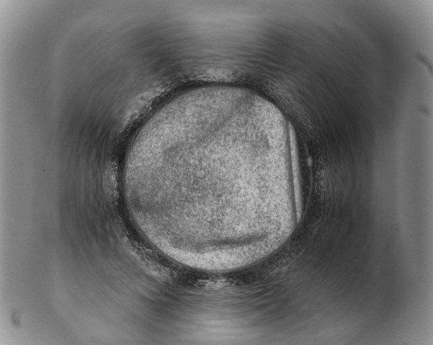 X0000103160688200809121838