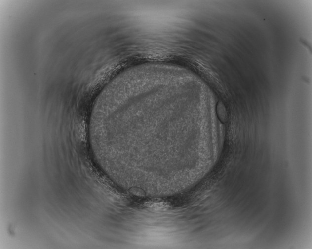 X0000103160689200809121838