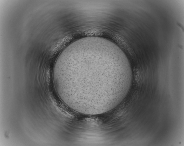 X0000103160690200809121838