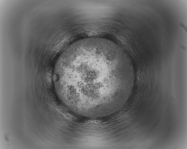 X0000103160691200809121838