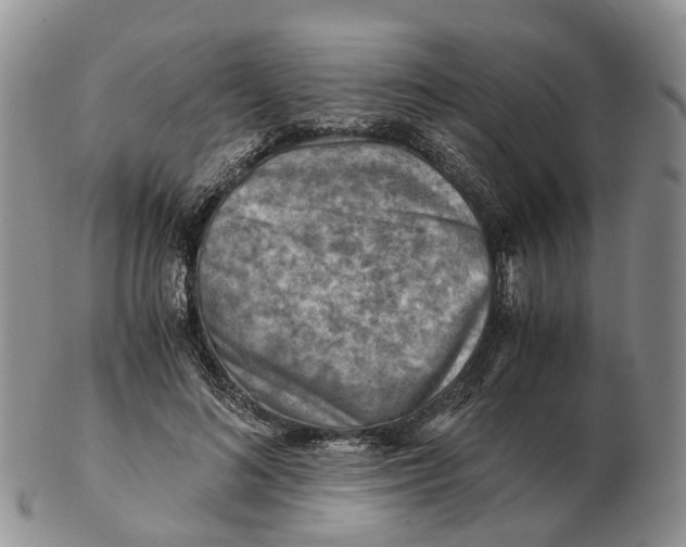 X0000103160692200809121838