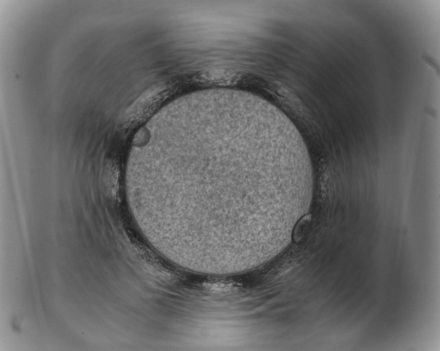 X0000103160693200809121838