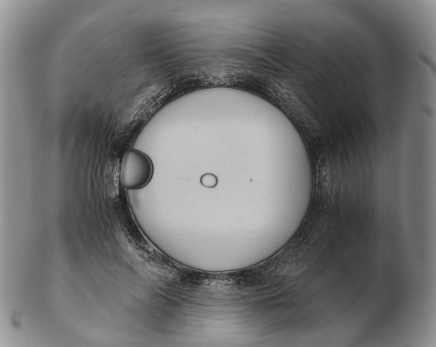 X0000103160694200809121838