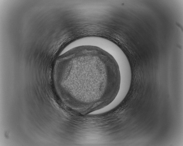 X0000103160695200809121838