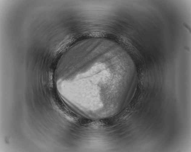 X0000103160696200809121838