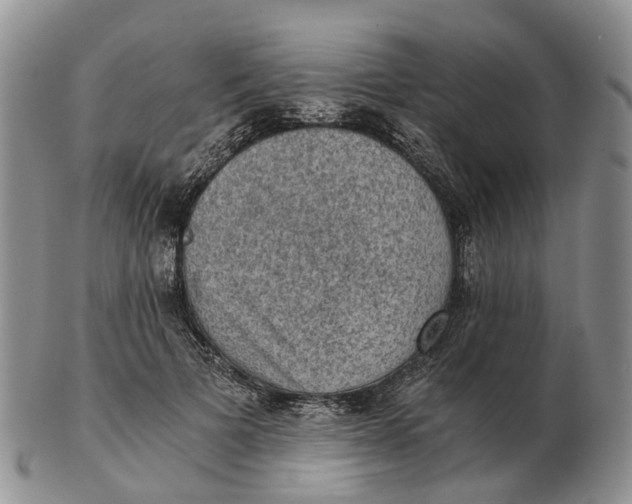 X0000103160697200809121838