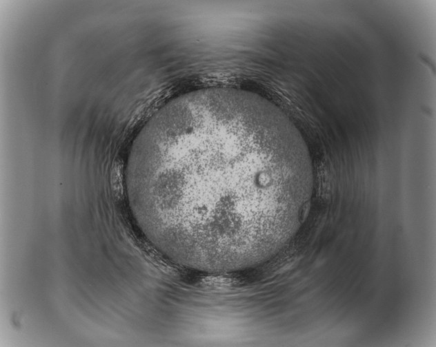 X0000103160699200809121838