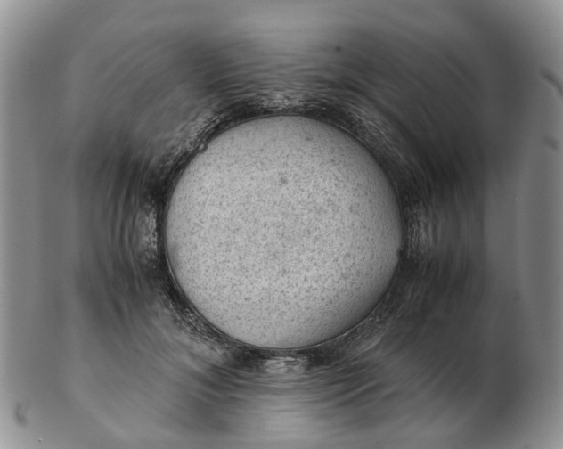 X0000103160700200809121838