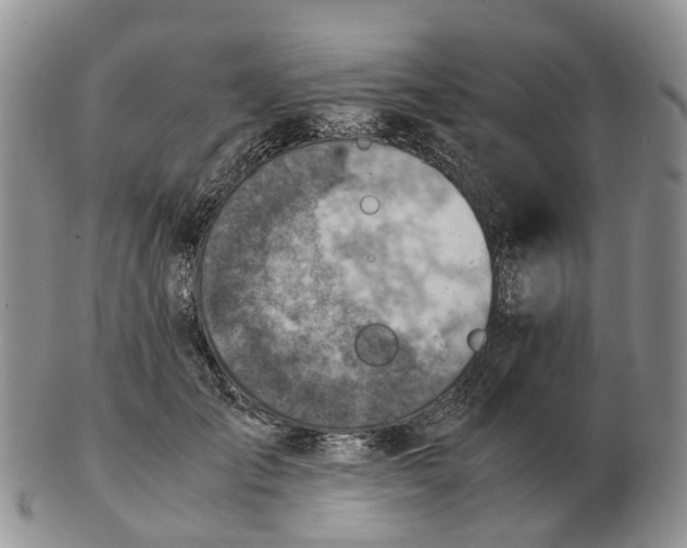 X0000103160701200809121838