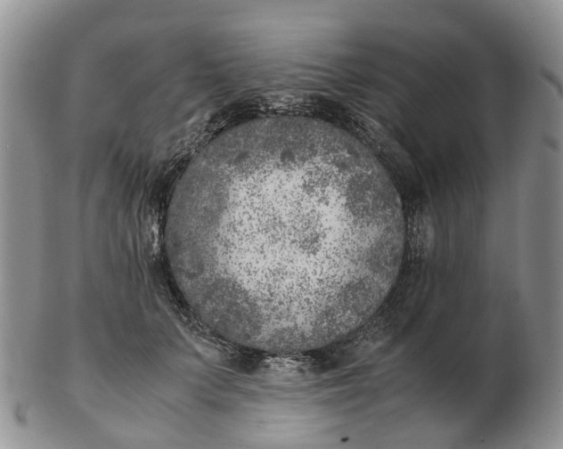 X0000103160703200809121838