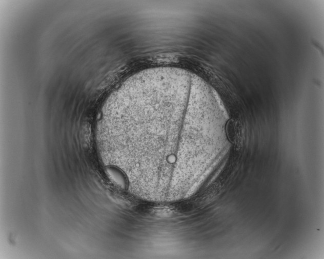 X0000103160704200809121838