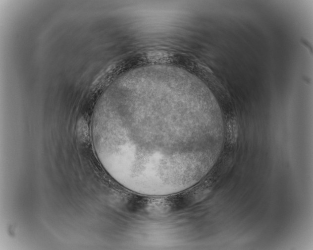 X0000103160705200809121838