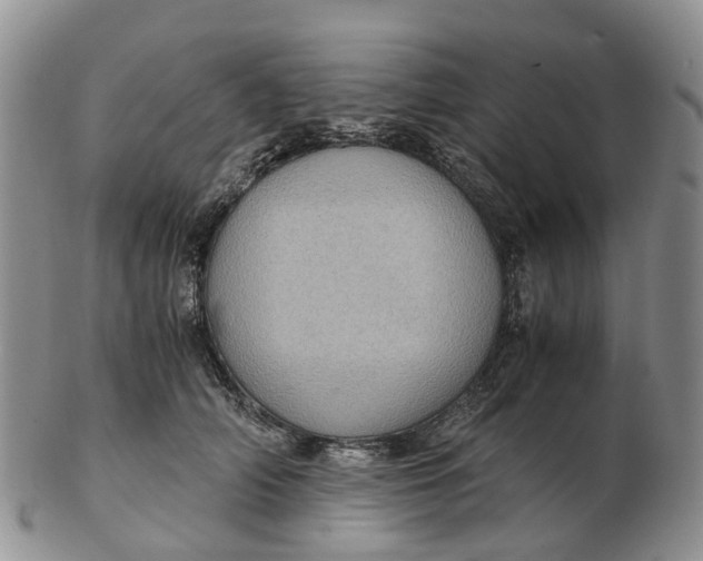 X0000103160706200809121838