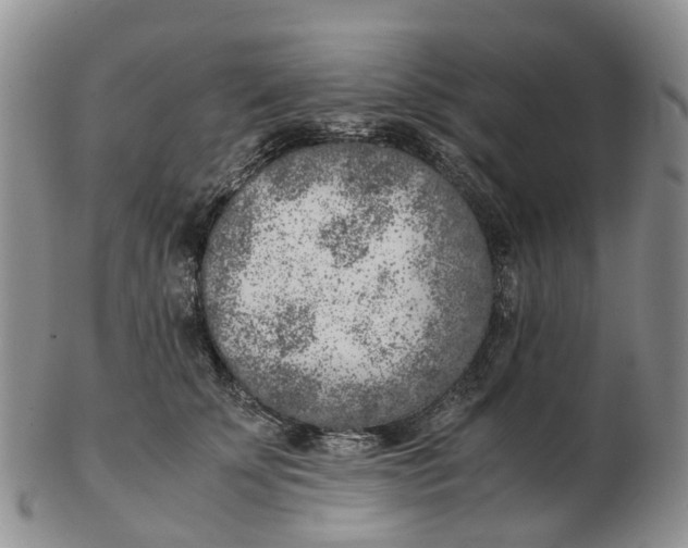 X0000103160707200809121838