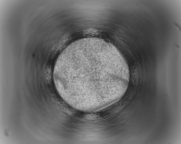 X0000103160708200809121838