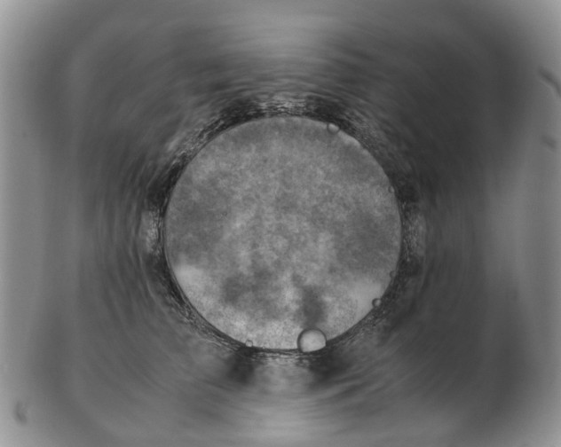 X0000103160709200809121838