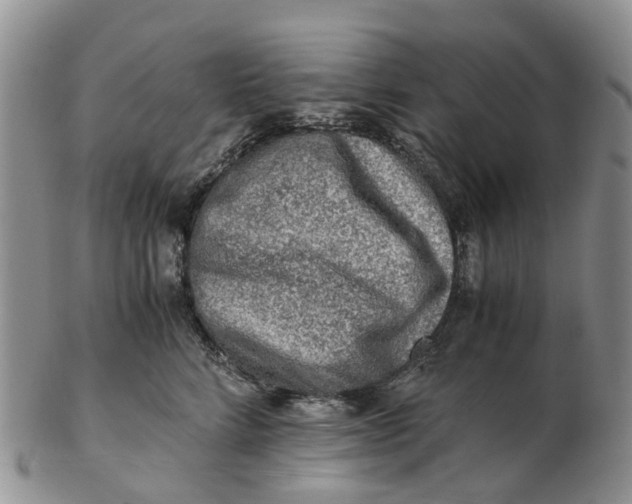 X0000103160712200809121838