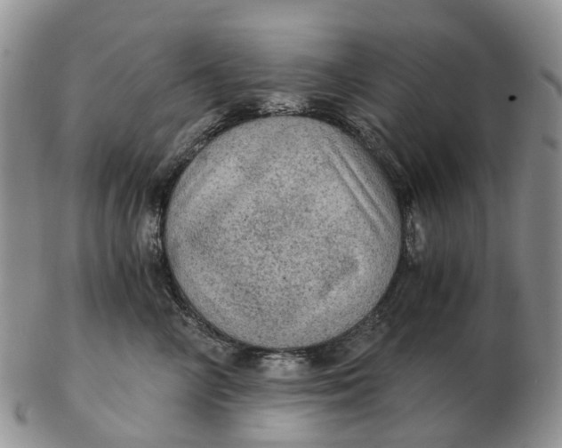 X0000103160714200809121838