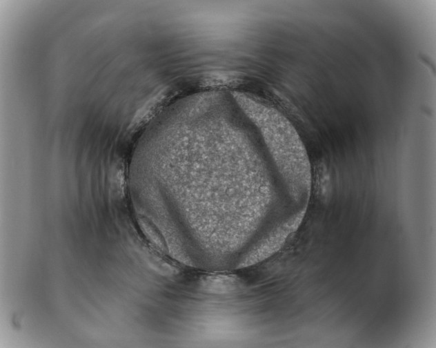 X0000103160716200809121838