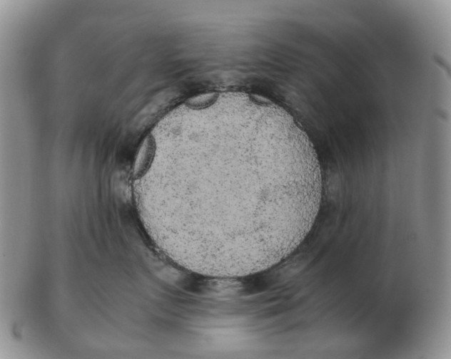 X0000103160719200809121838