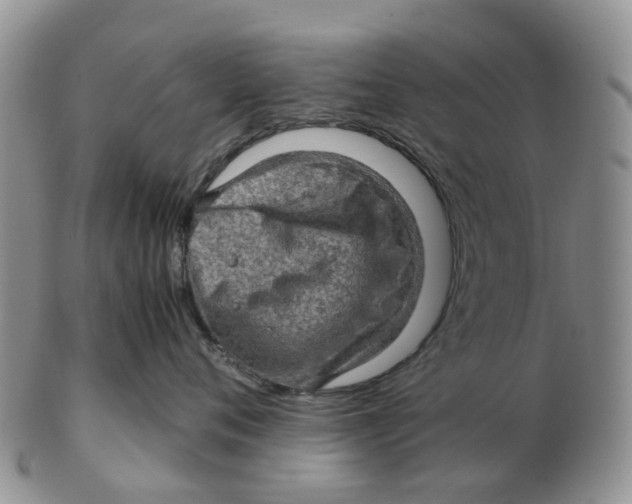 X0000103160720200809121838