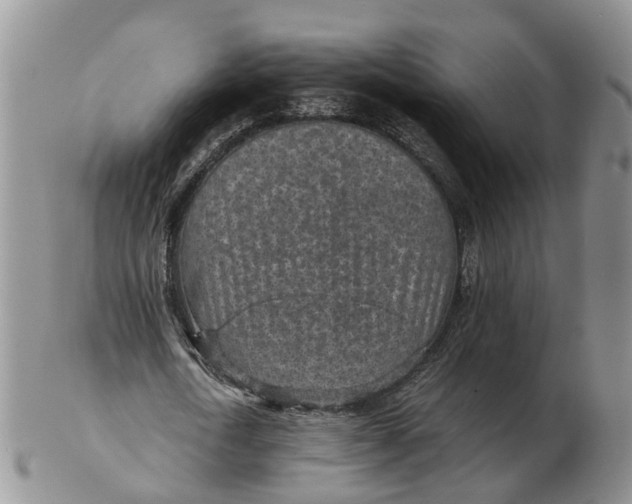 X0000103160722200809121837