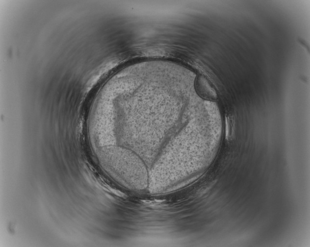 X0000103160723200809121837