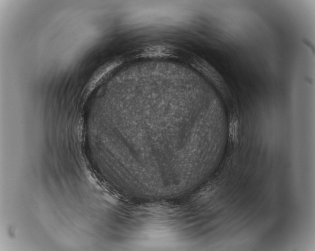 X0000103160724200809121837