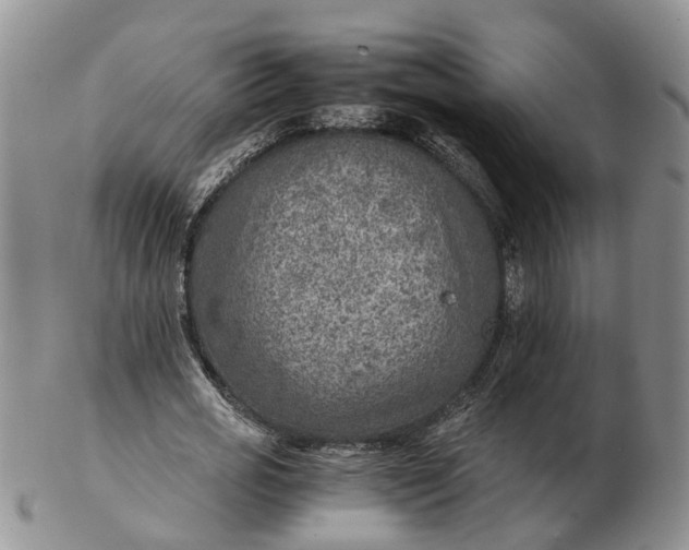 X0000103160725200809121837